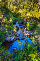 Reflections in stream near the trail to Arve Falls, Hartz Mountain National Park, Tasmania, Australia