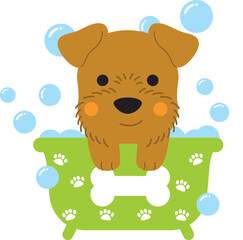 Jack Russell in bath tub