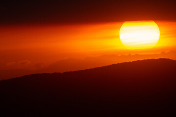 sunset in the forest