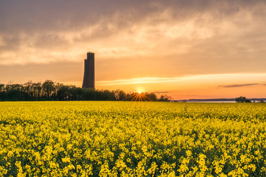 Germany, Schleswig-Holstein, Laboe, Vast oilseed rape field in front ofLaboe Naval Memorial at sunset