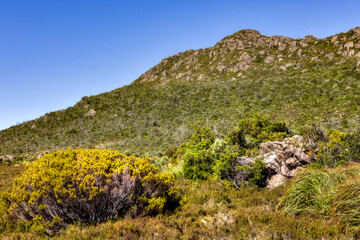 From the trail to Lake Osborne, Hartz Mountain National Park, Tasmania, Australia