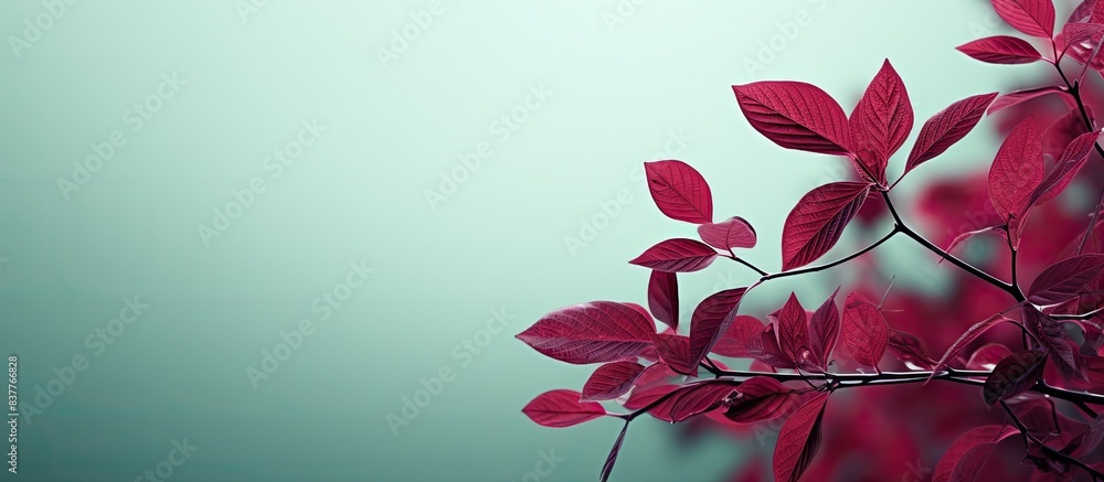 Poster maroon green foliage on twigs creates a background with copy space image.