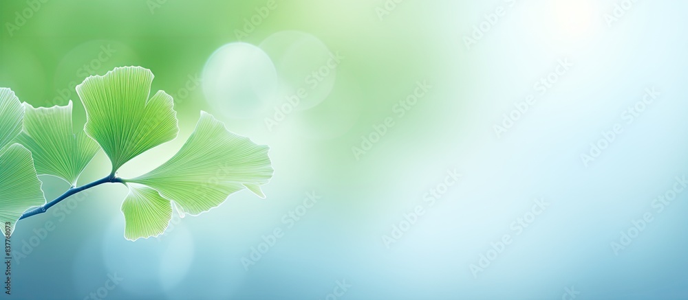 Poster close-up of a young ginko biloba tree leaf displaying a floral pattern, within a smart herbal concep