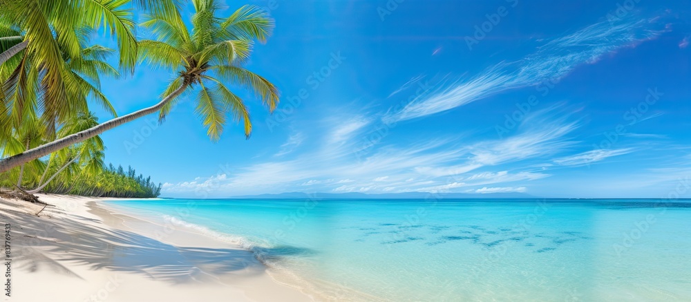 Poster idyllic tropical beach with palm tree in a panoramic banner photo with a spacious copy space image.