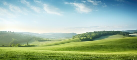 Obraz premium Green hills of a plowed agricultural field and forest. Idyllic summer rural scene. Clear sky after the rain. Pure nature, environnement, farm, countryside living, ecotourism. Panoramic view.