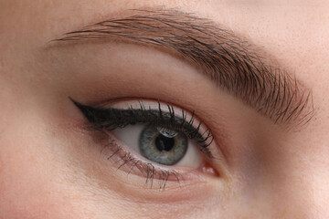 Obraz premium Makeup product. Woman with black eyeliner and beautiful eyebrow, closeup