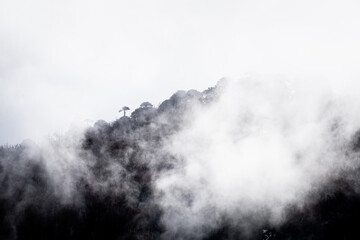 Fototapeta premium Beautiful landscape of Araucania Andina in Chile's Araucania Region.