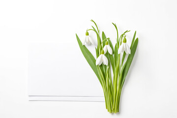 Fototapeta premium Snowdrops and Blank Card