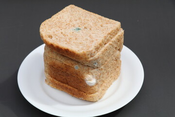 slices of moldy bread on a white plate with a dark background