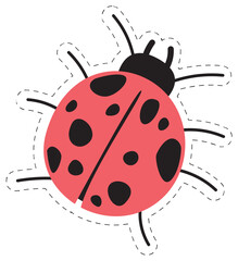  beetle , bug character,  cute doodle