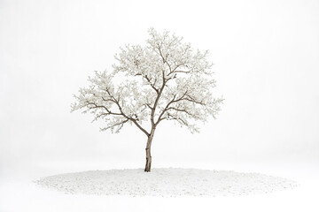 Solitary Tree in a Snowy Landscape