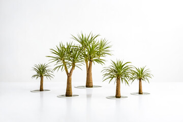 Fototapeta premium Miniature Palm Trees on a White Background