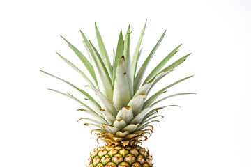Fototapeta premium Close-up of a pineapple's crown isolated on a white background