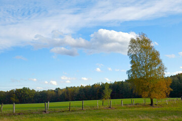 Naturschutzgebiet Duvenstedter Brook im Herbst