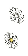 Black and white outline drawing of a daisy with a yellow center drawn by hand on a white background