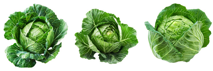 Fototapeta premium Set of Fresh green cabbage on transparent background