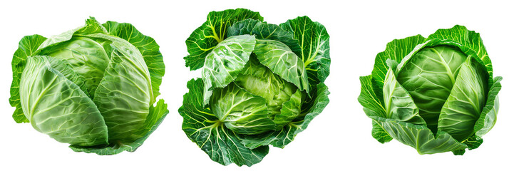 Fototapeta premium Set of Fresh green cabbage on transparent background