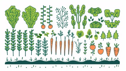 A minimalist 2D outline graphic of a fresh vegetable garden, showing rows of plants like lettuce, carrots, tomatoes, and herbs, each labeled
