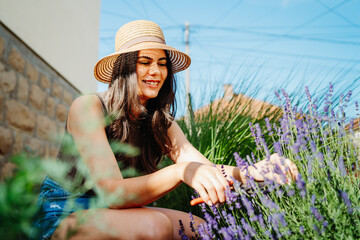 Fototapeta premium One young caucasian woman is cutting lavender at her home garden during the day