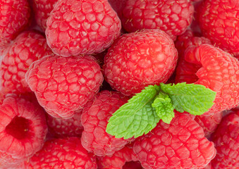 Red raspberry background, Red Raspberry Background with Mint Leaf, Top view