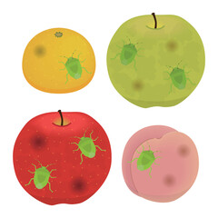 カメムシの被害にあった果樹のイラスト