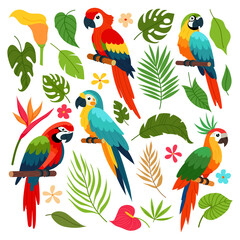 Set of tropical plants and parrots. Tropical bird. Jungle plants. Tropical flowers. Flat style design.