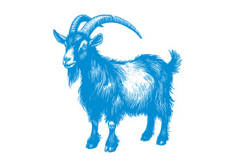 goat vector, transparent background.