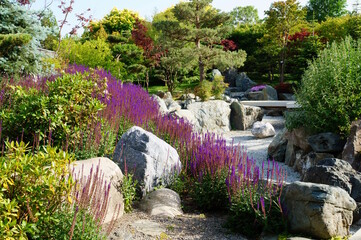 Landscape design of a Japanese garden. big rocks, blooming lavender and trees. Parks and nature.