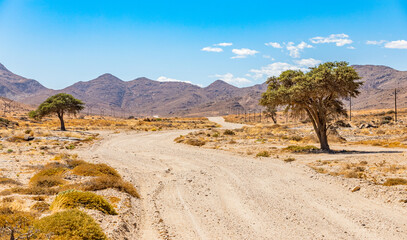 Arid landscape in the Richtersveld National Park