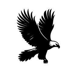 Obraz premium Fish Eagle Shallotte, vector , ilustrtation 