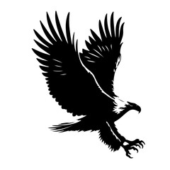 Obraz premium Fish Eagle Shallotte, vector , ilustrtation 