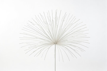 Obraz premium White Branch