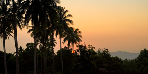 Obraz premium palm trees at sunset