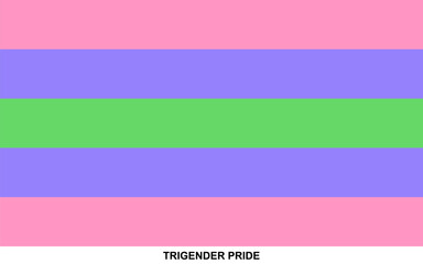 Flag of TRIGENDER PRIDE, TRIGENDER PRIDE flag