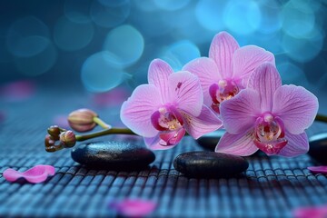 Purple orchids, black stones, blue mat, petals
