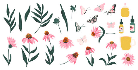 Purple Coneflowers and leaves set isolated on white background. Echinacea Purpurea wild flowers with essential oil and herbal tea collection. Vector hand drawn illustration.