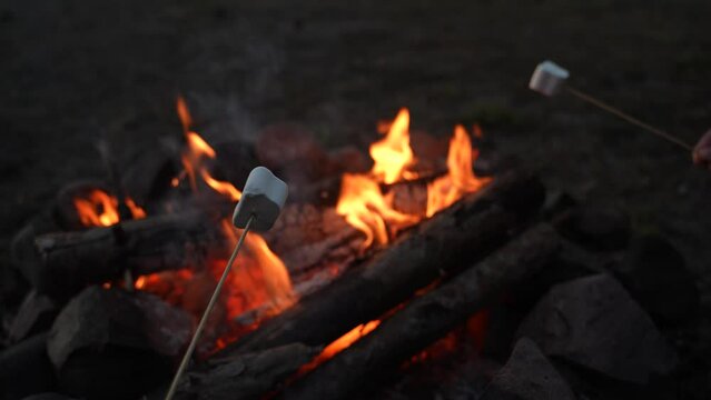 The hand of a European family with marshmallows on a stick is roasted at the stake at night, Campfire on the beach close up. The concept of family life and recreation in nature.