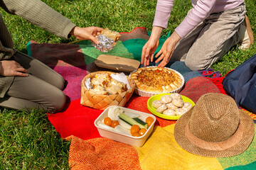 Picnic time, girls eating food on a colorful blanket, cooler bag on grass at summer park....