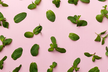 Fresh green mint leaves on white background, Mint leaves pattern Top view with copy space