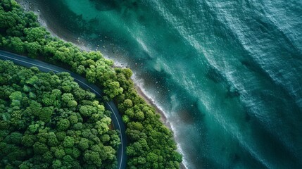 Aerial view of a winding road cutting through a dense forest beside a serene coastline, showcasing nature's beauty and tranquility. AI Generative. - Powered by Adobe