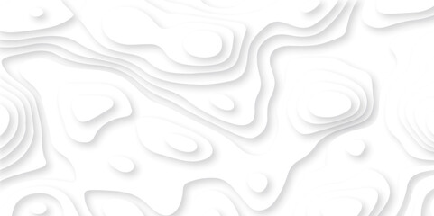 Obraz premium Abstract white paper cut background with lines. Background of the topographic map. White wave paper curved reliefs abstract background. Realistic papercut decoration textured with wavy layers.