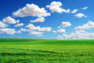 Vibrant Green Field Under a Bright Blue Sky with Fluffy White Clouds on a Sunny Day - Perfect for...