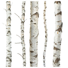 Naklejka premium set of natural birch trunks isolated on white background