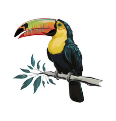 A colorful exotic bird, toucan, parrot with a long beak is perched on a branch. The bird's bright colors and unique beak make it stand out on transparent background. Cartoon vector illustration.