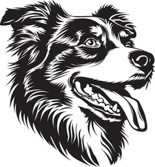 Obraz premium Australian Shepherd dog clipart, Australian Shepherd black vector