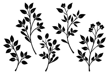 floral branch silhouette vector illustration
