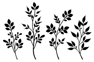 floral branch silhouette vector illustration