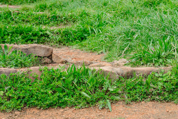 Stones on a hiking trail overgrown with grass