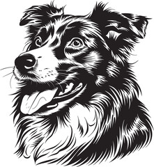 Australian Shepherd dog clipart, Australian Shepherd black vector