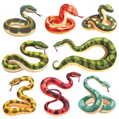 Assortment cartoon snakes, various colors patterns, coiling slithering positions. Brightly colored serpents friendly cartoon expressions, different species represented. Cute snake collection